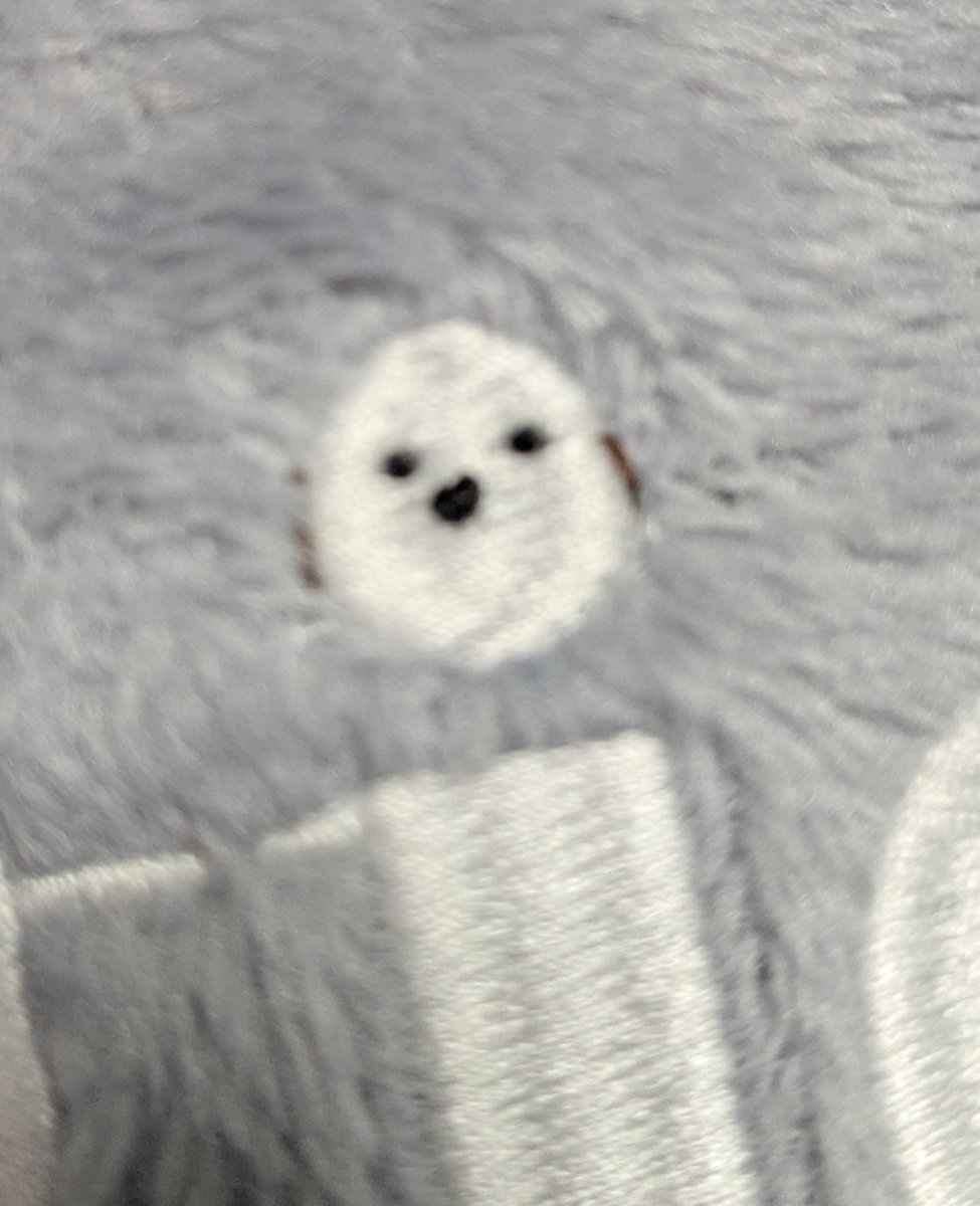 西松屋で買ってきた服にあった白丸をシマエナガに改造するなどした💪