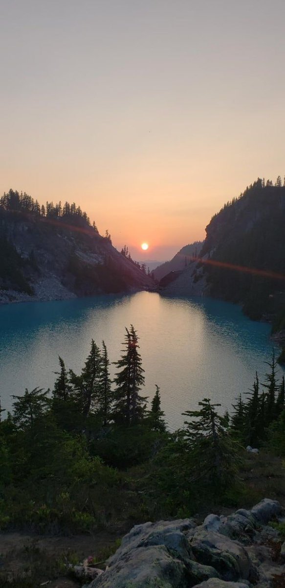 Epic Posts Daily 𝕏 (@wallacebeaufort) on Twitter photo 