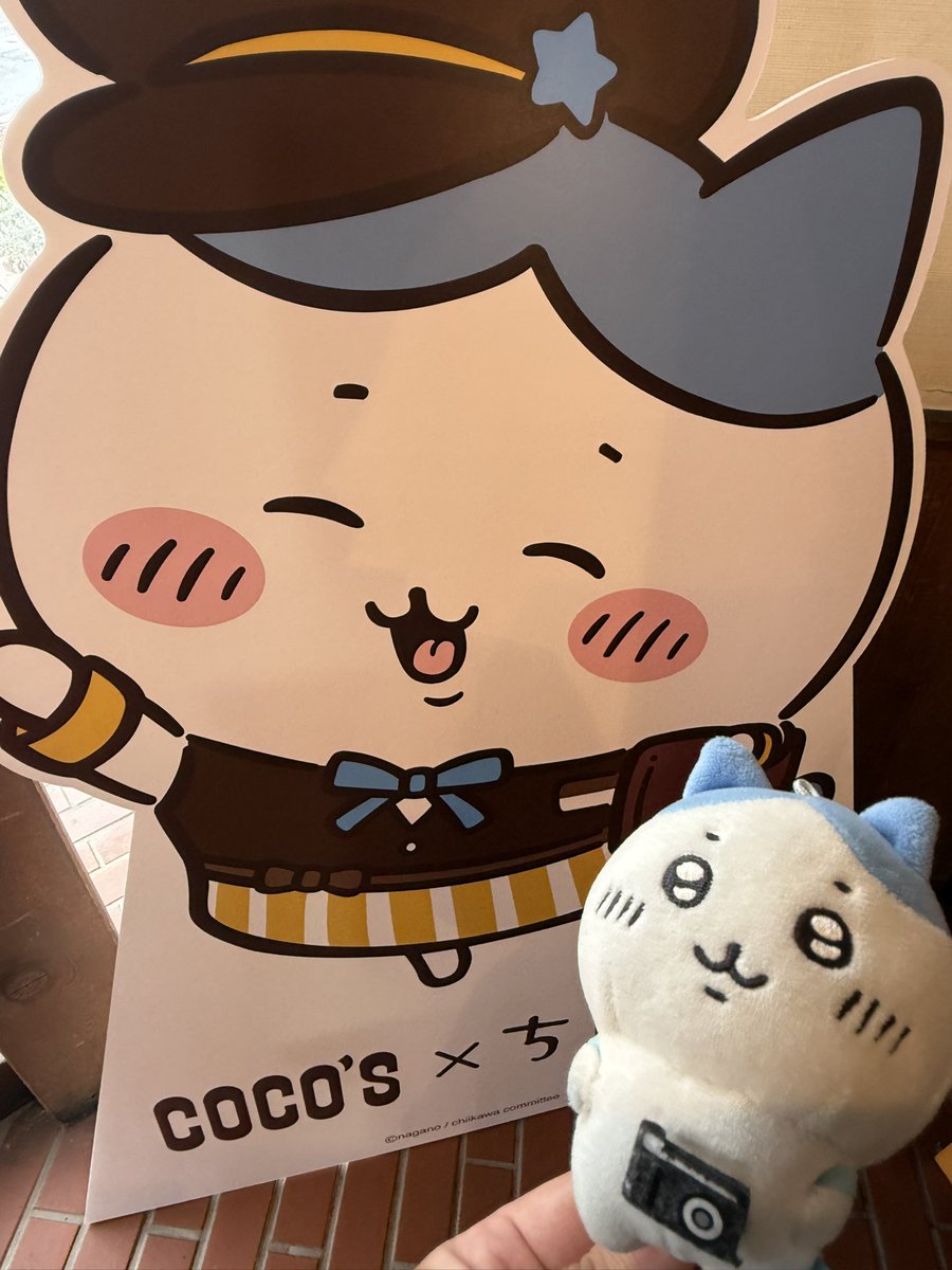 車🚗で1時間かけてココスのハチワレちゃんに会いに来たのだよ😽✨