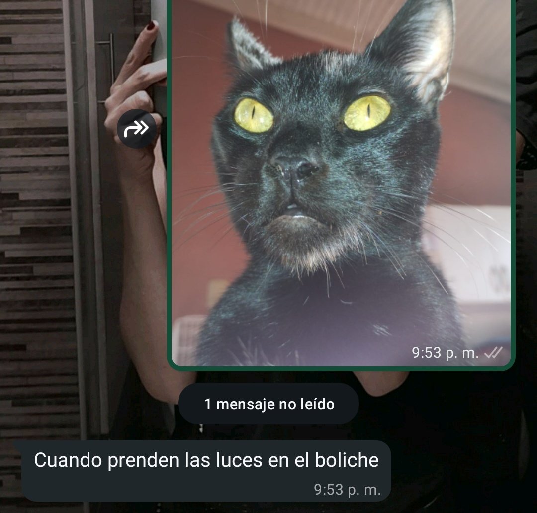 le mostré una foto de la negra a un amigo y el hdp me dijo esto 😭