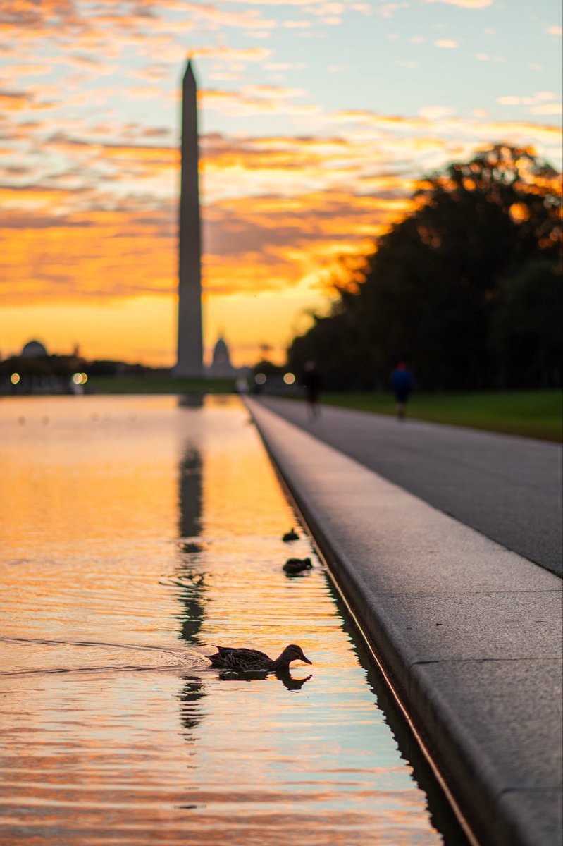 Stacy Beck tweet media