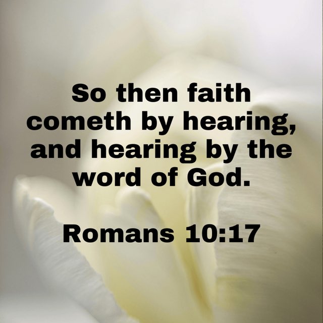 SWRDOFTHESPIRIT's tweet image. Evening Meditation