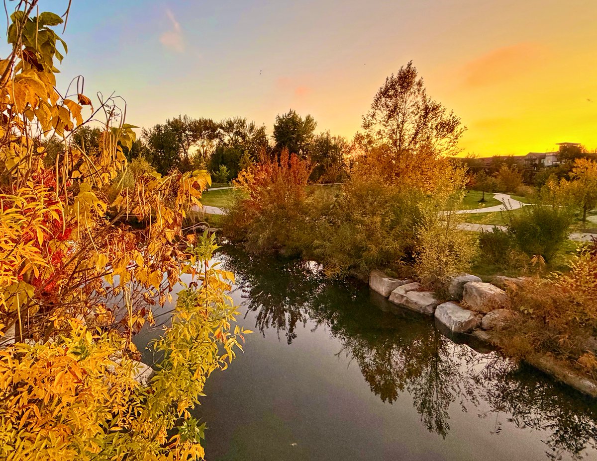 Photo challenge, show us an image with contrast!