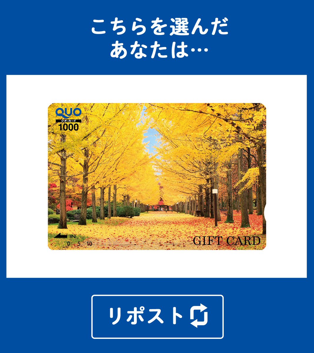 おはようございます(Q◡O)✨
どっちの秋が好きですか？

紅葉：いいね❤
銀杏：リポスト🔁