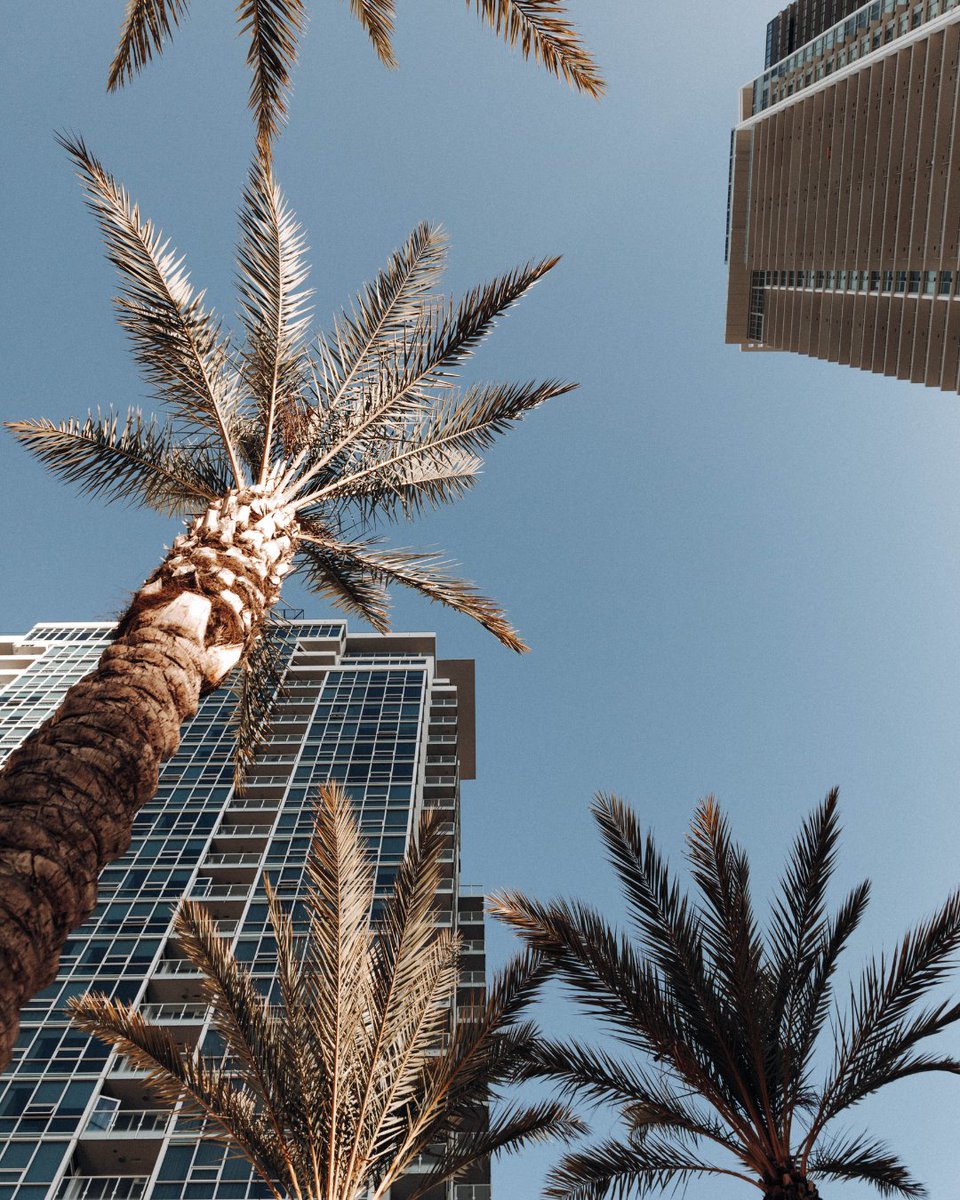 Where luxury greets you the moment you wake up. 😍
Each Onni property in Los Angeles offers its own unique view of the city’s vibrant heart — from the skyline to the shoreline. ✨

Learn more about our luxury rental opportunities in LA: onni.com/rental-apartme…