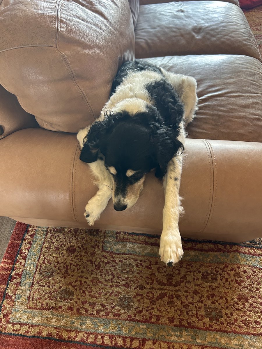 Her brother is at the doctor being evaluated. She is a bit lonely and depressed. Not sure what is going on. 

She shares my mood.