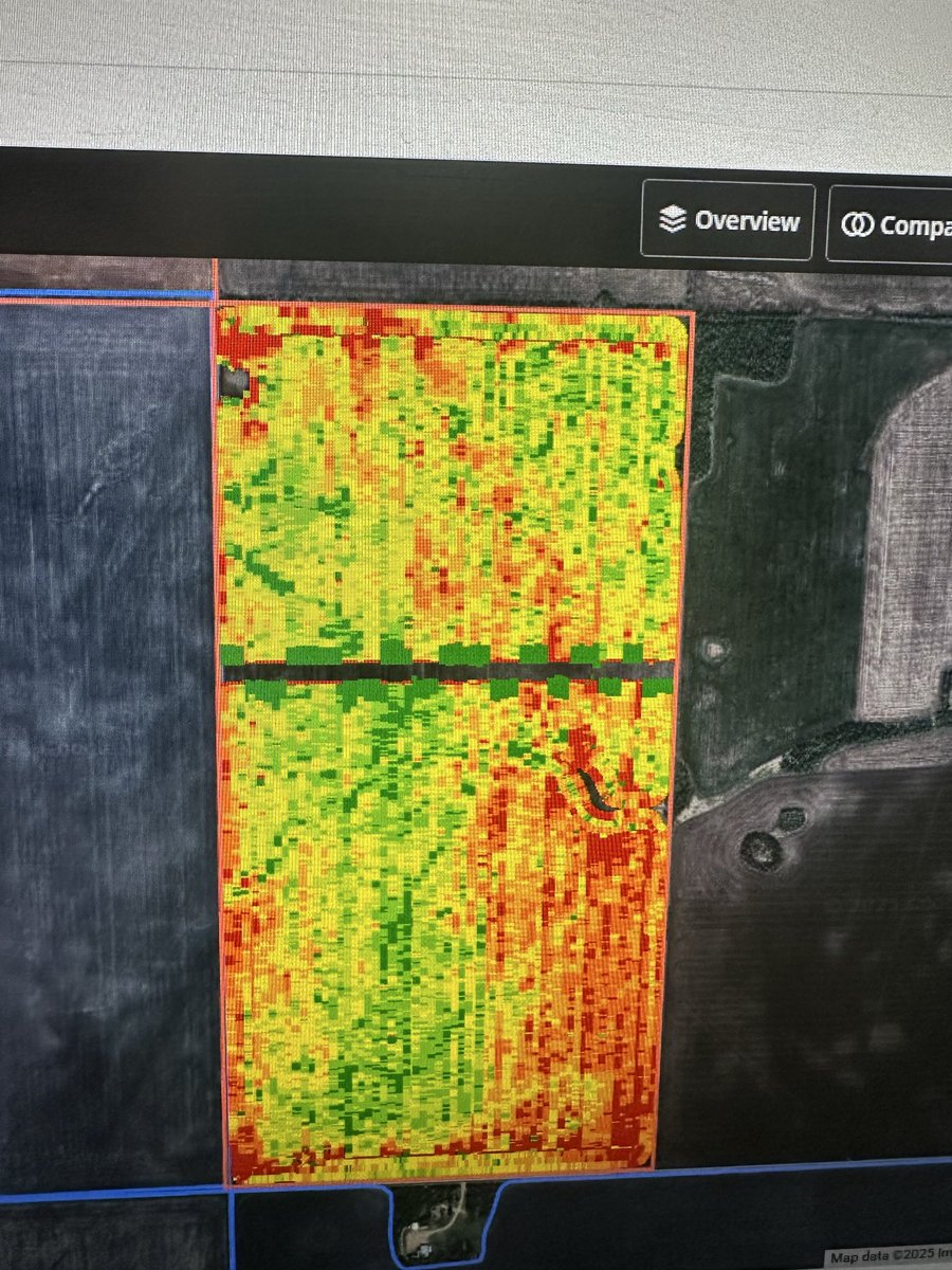 David Olson tweet media