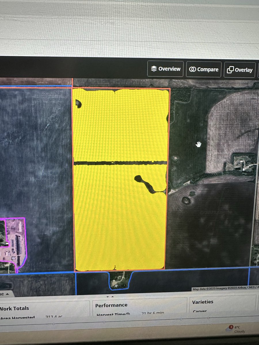 David Olson tweet media