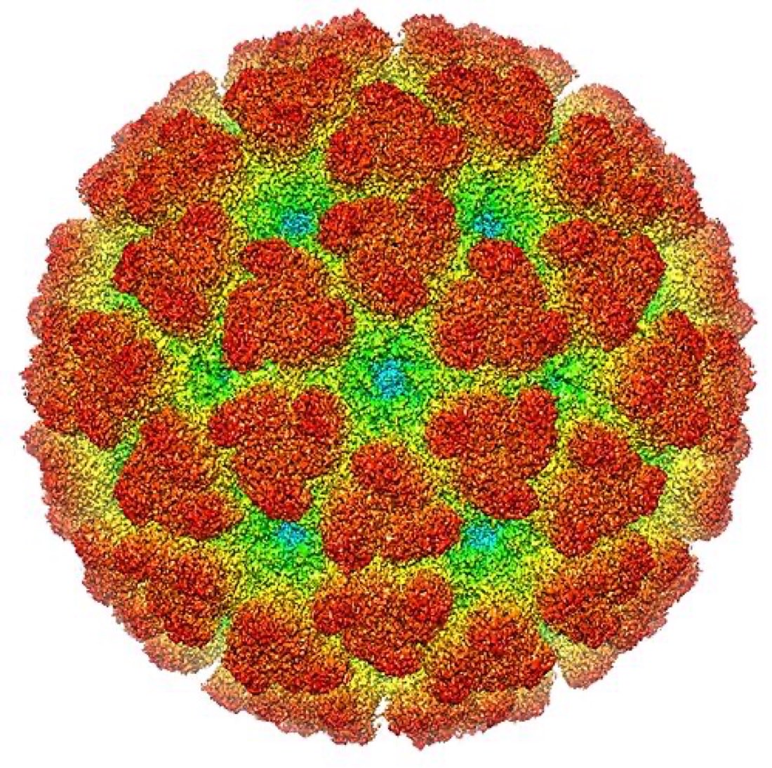 ⚠️First case of locally acquired Chikungunya disease (also known as ‘breakbone fever’) in New York.

Climate change is bringing many mosquito variants, and the tropical diseases they carry, our way.

x.com/richardhirschs…