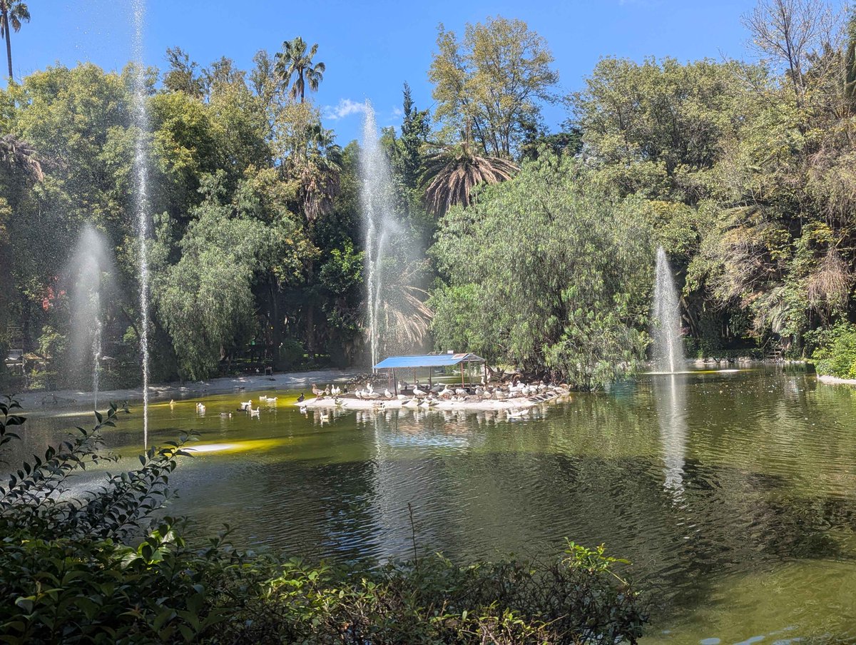 Spent an extra day exploring Mexico City 🇲🇽

Had lots of great Mexican food (including the best tacos &amp; guac I've ever had), went on a leisurely boat ride with roaming mariachi bands, stopped by a quiet park, and found an axolotl sanctuary

Would love to visit again sometime!