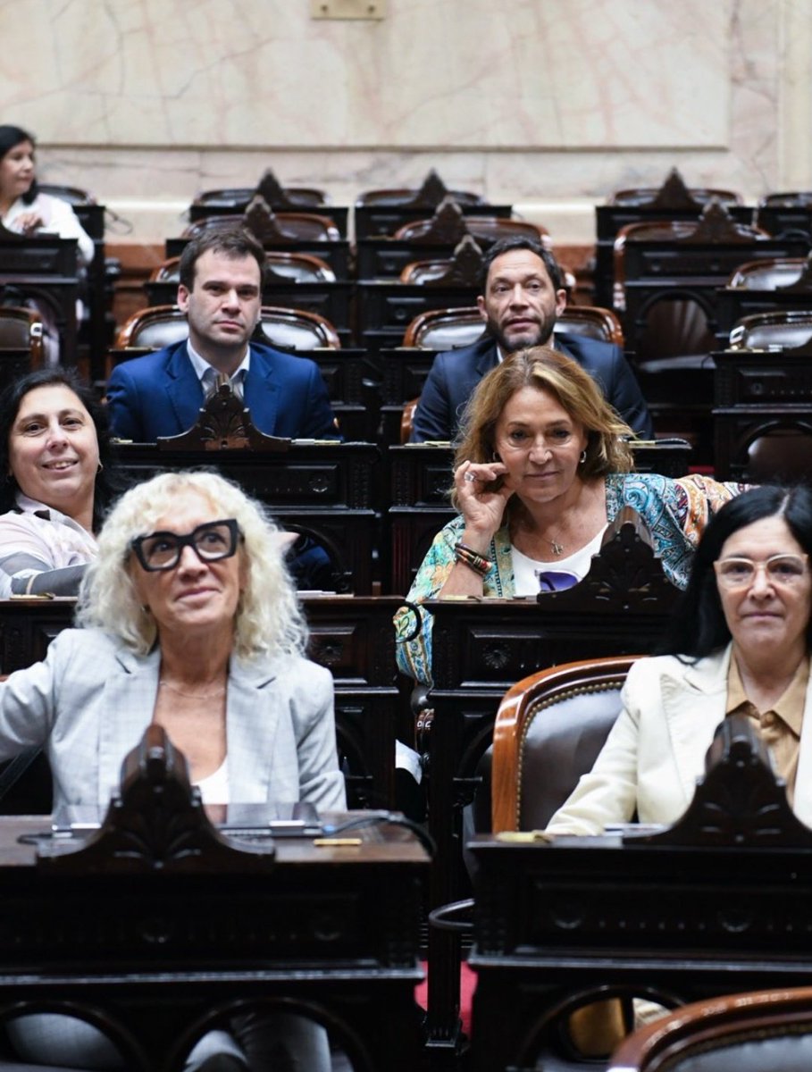 Honestidad intelectual y moral. Profesionales, trabajadores incansables, luchadores. Jamás se olvidan de quienes representan, no permiten actos de corrupción. Los lobbies no pueden con ellos. 
Son la Reserva Moral del Congreso. 
Son de la Coalición Civica ARI.