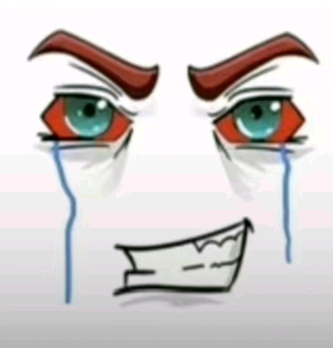 my family asking me if im ok while im crying my eyes out so I just look at them like this