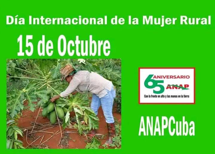 Yaimyr Victoria Basulto (@yaimyrb) on Twitter photo 🇨🇺 Celebró #Cuba el día Internacional de la Mujer Rural en la CPA Jesús Suárez Gayol de #Camagüey con la presencia de <a href="/FelixDuarteOrte/">Félix Duartes Ortega</a> miembro del CC del <a href="/PartidoPCC/">Partido Comunista de Cuba</a> y <a href="/WalterNoris/">Walter Simon Noris</a> Primer Secretario en la Provincia. #MujeresEnRevolución, #PorCamagüeyTodo.
🔵🔴⚪ 🇨🇺 Celebró #Cuba el día Internacional de la Mujer Rural en la CPA Jesús Suárez Gayol de #Camagüey con la presencia de <a href="/FelixDuarteOrte/">Félix Duartes Ortega</a> miembro del CC del <a href="/PartidoPCC/">Partido Comunista de Cuba</a> y <a href="/WalterNoris/">Walter Simon Noris</a> Primer Secretario en la Provincia. #MujeresEnRevolución, #PorCamagüeyTodo.
🔵🔴⚪
