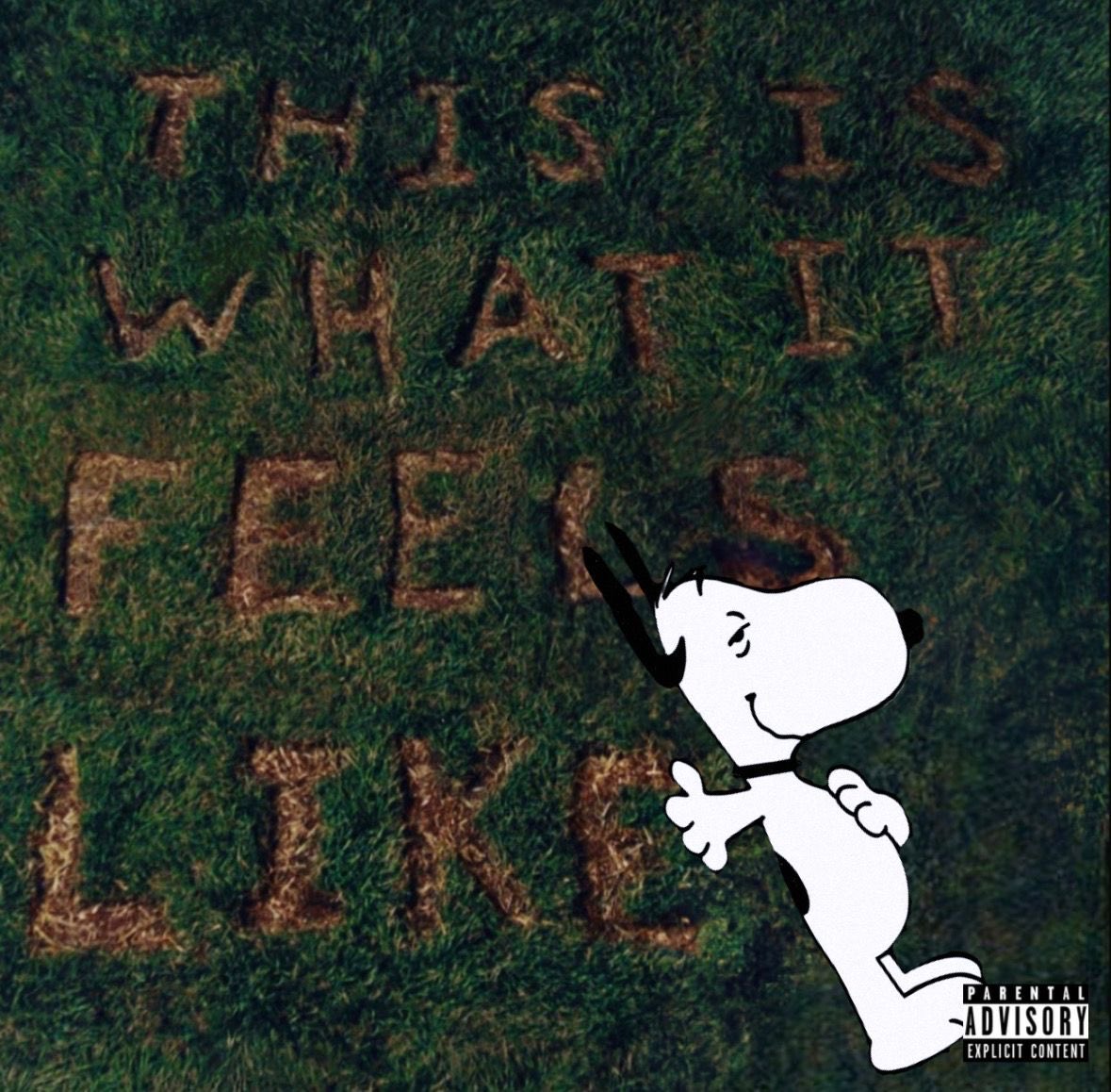 wiIIyoucry's tweet image. snoopy abrams album covers ･:*+