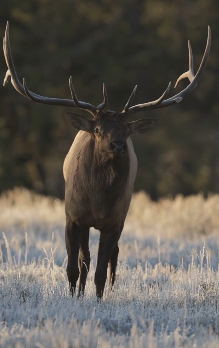 Cancer is an Asshole tweet media