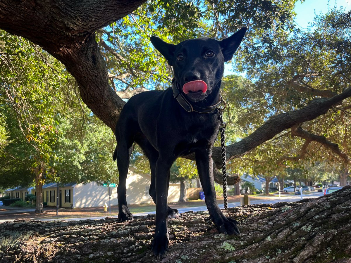 John Stortz tweet media