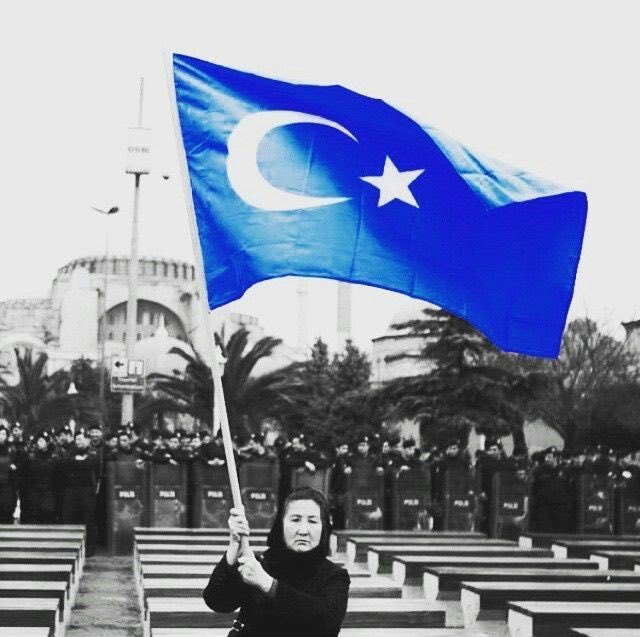 Profesör tweet media