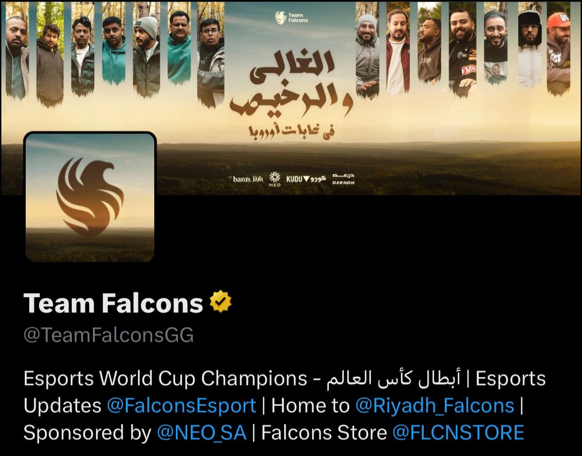 Team Falcons tweet media