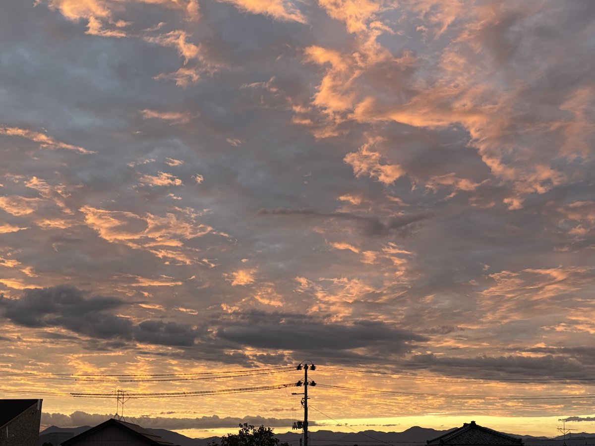 おはようございます🌞