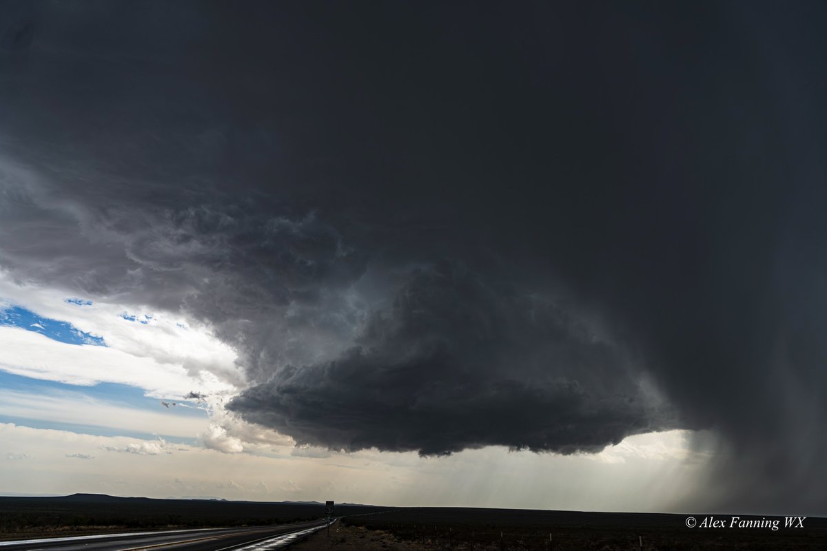 Alex Fanning tweet media