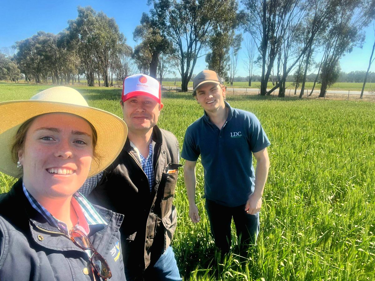 GIAVcroptour's tweet photo. 🚜 Day 2 of the GIAV Crop Tour, proudly sponsored by Riordans!
Our teams are back on the road, checking crops across the region. If you see us out and about, give us a wave! 👋
Following strict biosecurity protocols to protect every farm we visit. 🌾 #Riordangroup #GIAVCropTour https://t.co/4KhzubG6f8