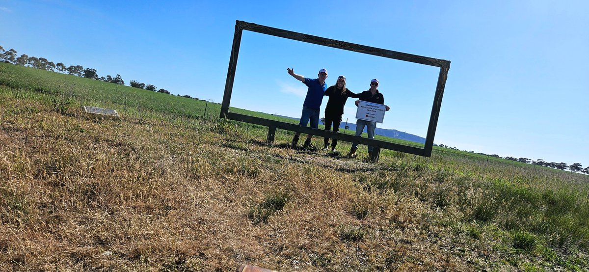 GIAVcroptour's tweet photo. 🚜 Day 2 of the GIAV Crop Tour, proudly sponsored by Riordans!
Our teams are back on the road, checking crops across the region. If you see us out and about, give us a wave! 👋
Following strict biosecurity protocols to protect every farm we visit. 🌾 #Riordangroup #GIAVCropTour https://t.co/4KhzubG6f8