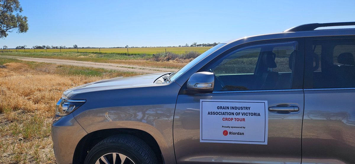 GIAVcroptour's tweet photo. 🚜 Day 2 of the GIAV Crop Tour, proudly sponsored by Riordans!
Our teams are back on the road, checking crops across the region. If you see us out and about, give us a wave! 👋
Following strict biosecurity protocols to protect every farm we visit. 🌾 #Riordangroup #GIAVCropTour https://t.co/4KhzubG6f8