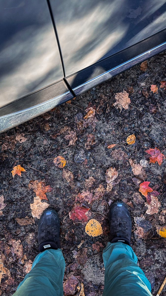 Intotheframes's tweet image. فکر کنم داریم به آخراش میرسیم.