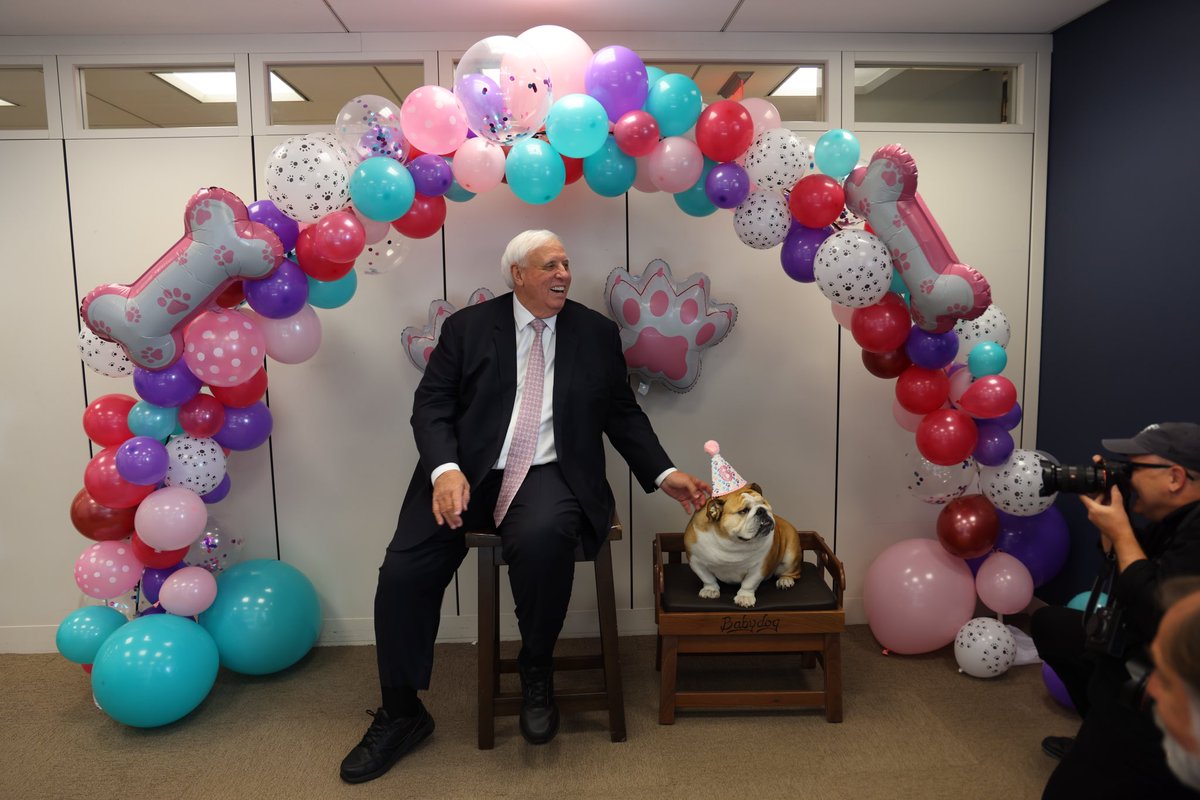 This barkday girl has cast her vote… 

✅ Lots of treats
✅ Head scratches
✅ New fur-iends

The paw-ty is officially approved!