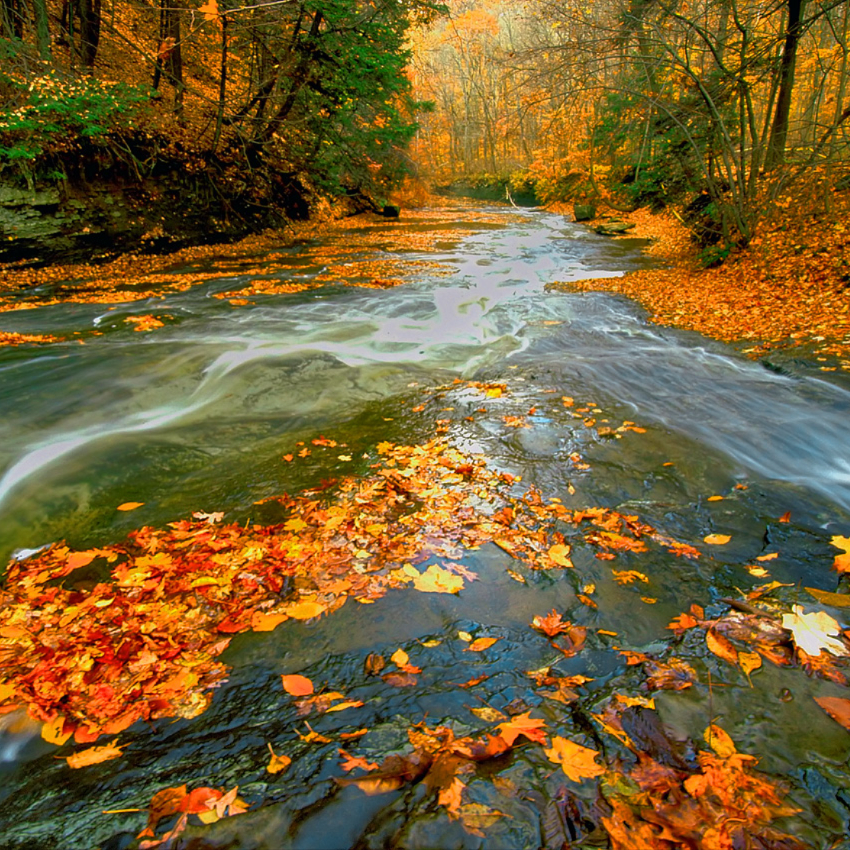 Looking for some fall fun? We've got you covered! Check out our article filled with exciting fall activities! From exploring the beautiful Cuyahoga Valley National Park to sipping on delicious seasonal drinks, there’s something for everyone to enjoy!

👉 bit.ly/4hcm9HC