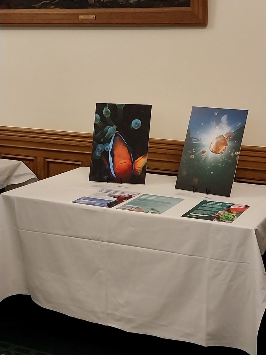 STEMLearning_AS's tweet image. Delighted to attend the @RoyalSocBio Awards & Celebration event @HouseofCommons this evening celebrating pupils, #teachers and presenting President medals to deserving Members & Fellows #inspiring all attended by @MaryCreagh_ MP championing #Biology & #Biosciences in society