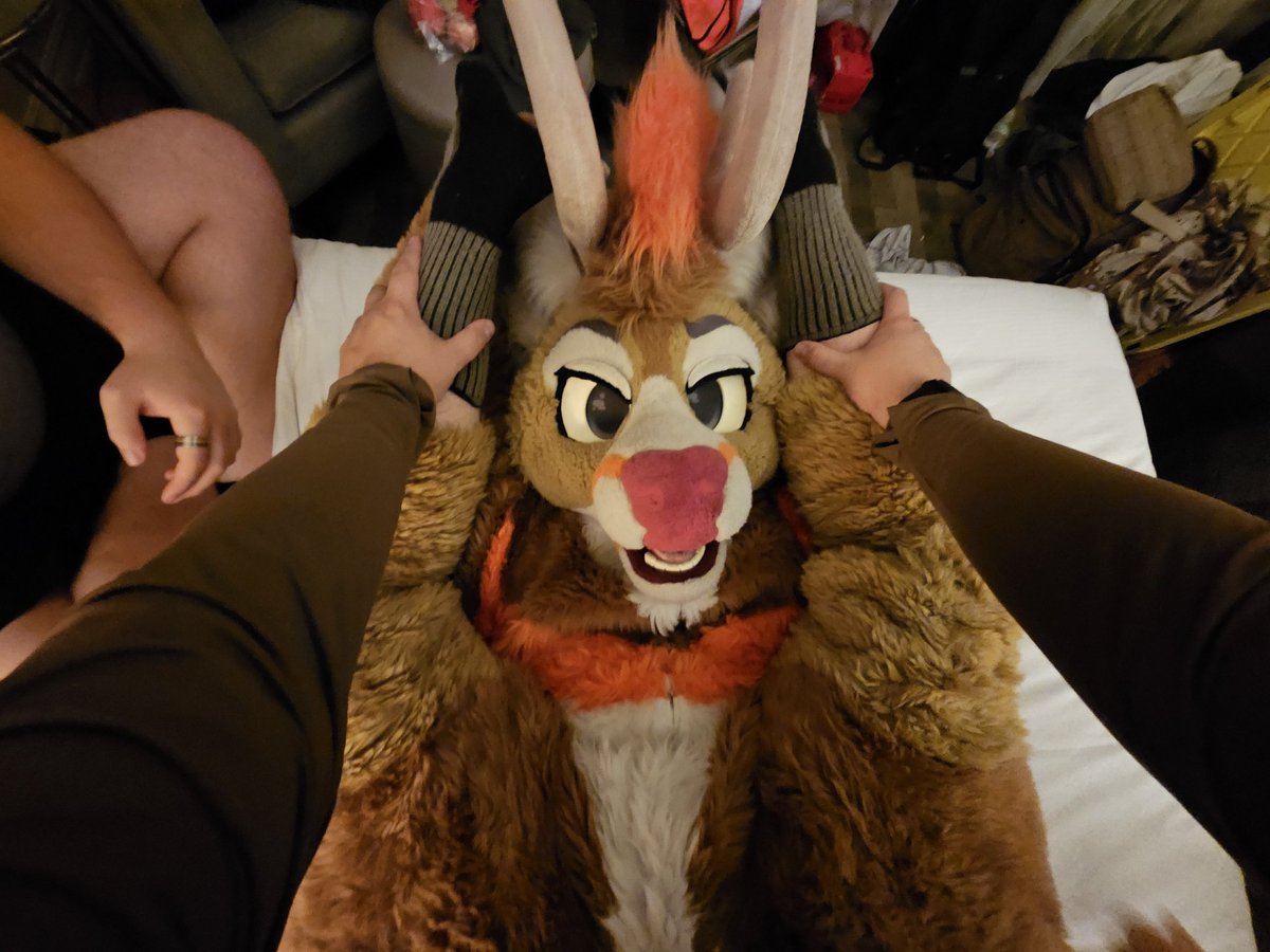 Your POV at a con room party

🦌:Noon