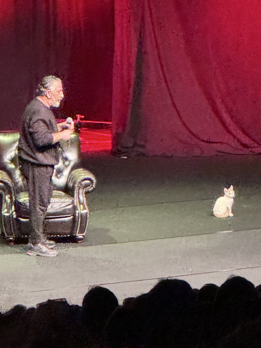 “Öldürmeyen şey seni yaralar. “ ❤️
Kedili baba <a href="/CMYLMZ/">Cem Yılmaz</a>