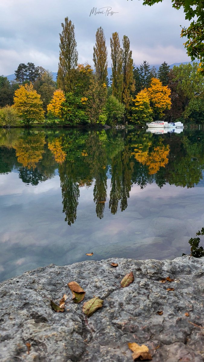 #Herbst Vibes 
#Aare in #Solothurn