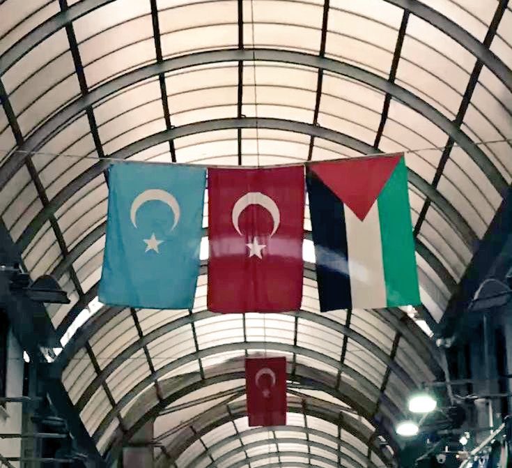 Ben Müslüman bir Türk’üm.

Doğu Türkistan da, Filistin de benim öz davamdır!

 #FreeTurkistan