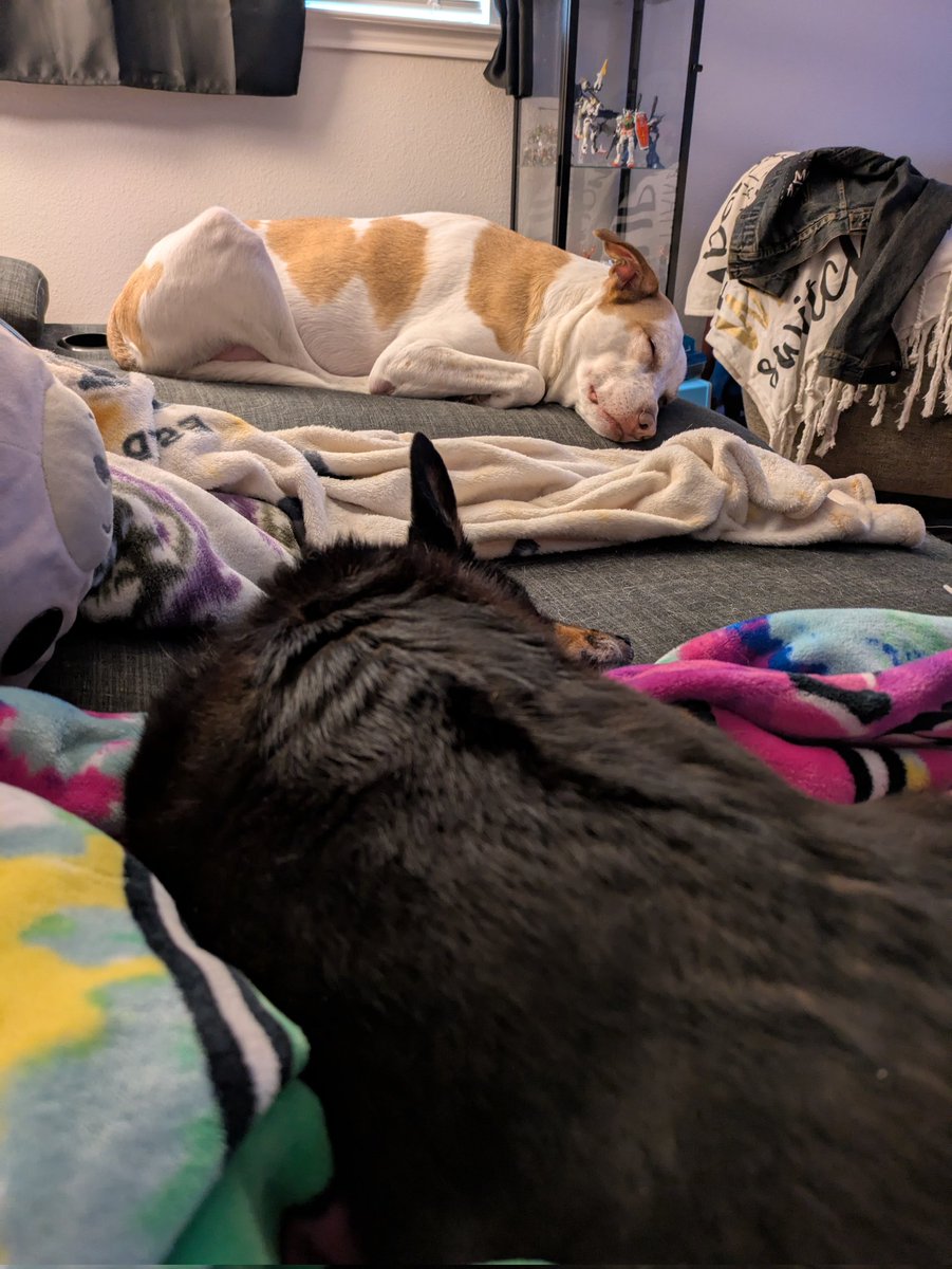 Good luck to all my vending friends at #blfc! I wish you a very good money time. Haha. Vending at my first market this weekend! So working my butt off this week to get more product made in time. Have a sleepy pupper photo!