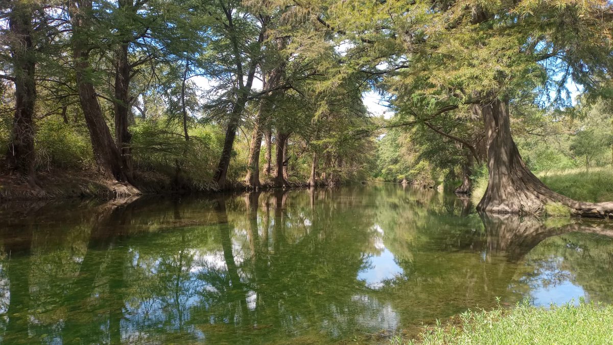 SMA Coahuila tweet media