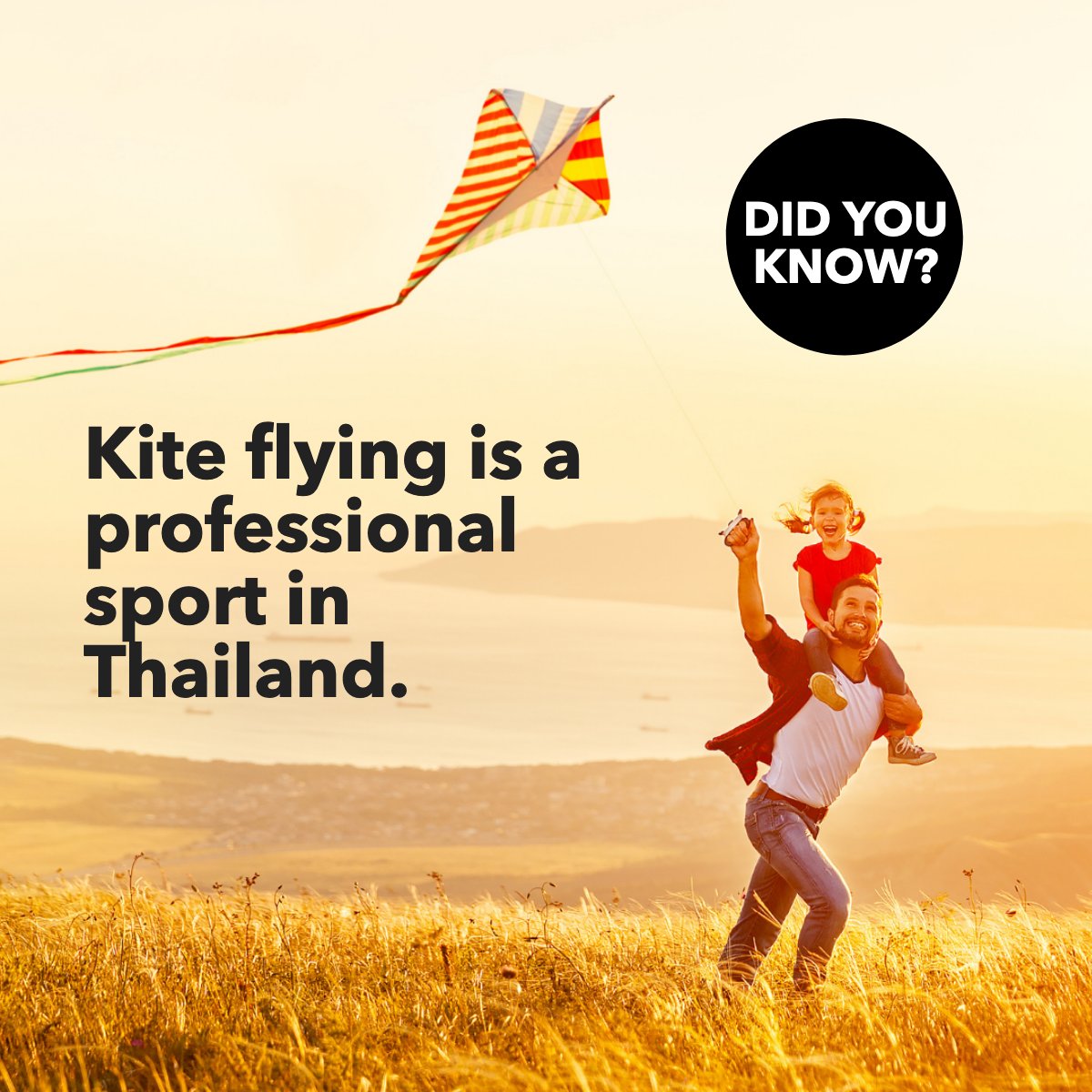 TheAdolphGroup's tweet image. Kite flying hobby was transformed into a sport when advanced kites were developed with multiple lines, which allowed for higher control of kites. 🪁🪂
#kite #sport #hobby #KiteFlying #kiteparadise