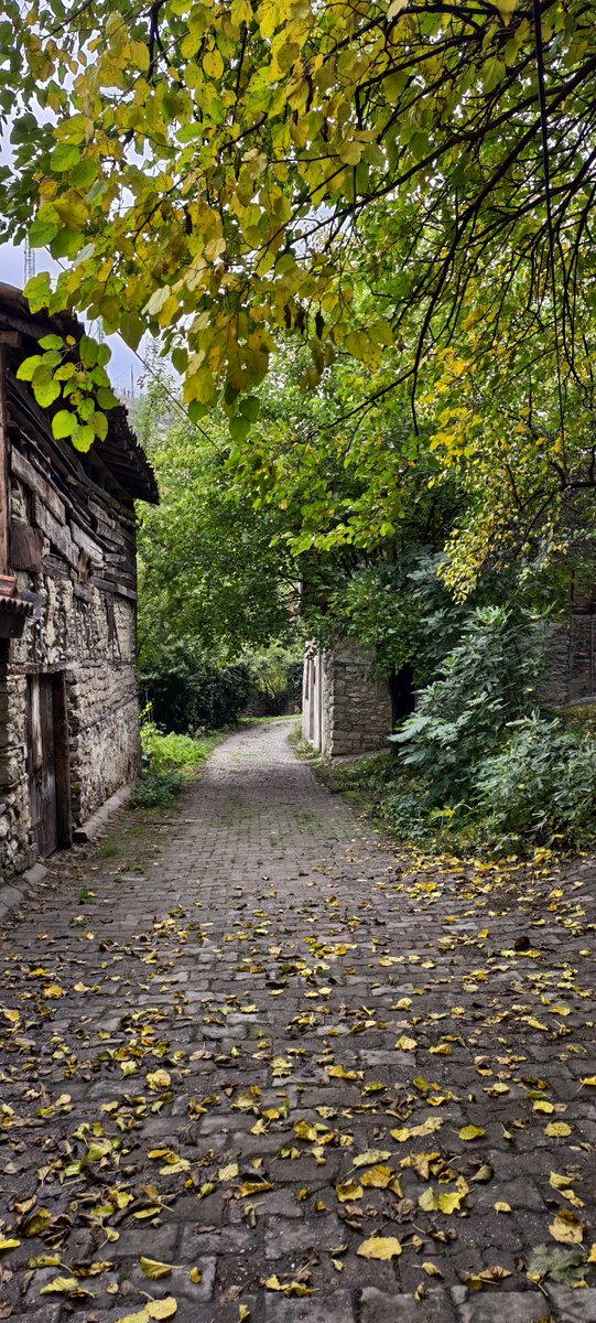 "...rüzgâr sonbaharda hep aynı şarkıyı söyler. Buna şarkı demek de doğru değildir; çoğu zaman bir ağıttır. Güzelin kısacık ömrüne, gidenin çekiciliğine, sevgilinin hayaline yakılmış bir ağıt. " A.Ümit

🍂📷Safranbolu Eski  Tabakhane