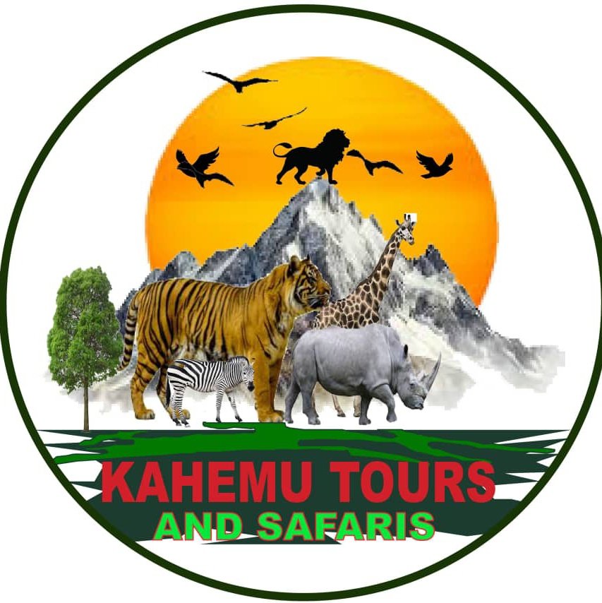 kahemutours's tweet photo. #NewProfilePic https://t.co/vU6rPtCBoo