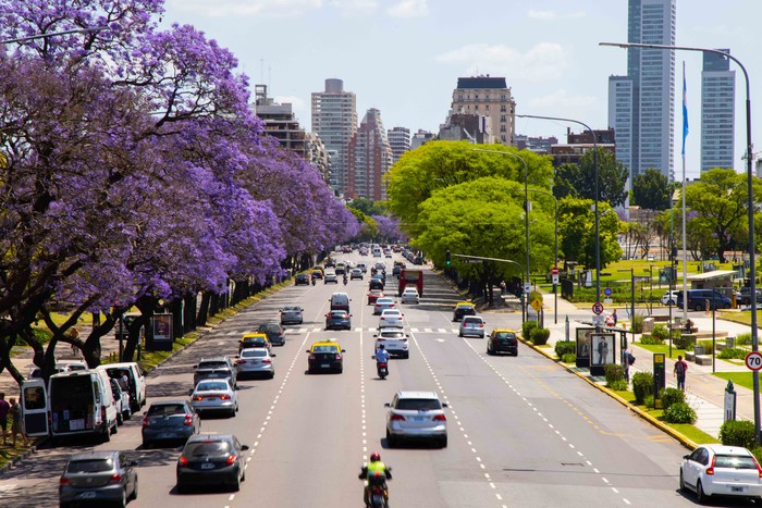 NuevosBAires's tweet photo. [Arbolado] 🌳Cada primavera, Buenos Aires se convierte en un jardín. 

Lapachos, jacarandás, tipas y palos borrachos pintan la ciudad de rosa, violeta y amarillo. 

Recorremos en este hilo cuándo florece cada especie 🧵👇 https://t.co/Yw6SqFOq23