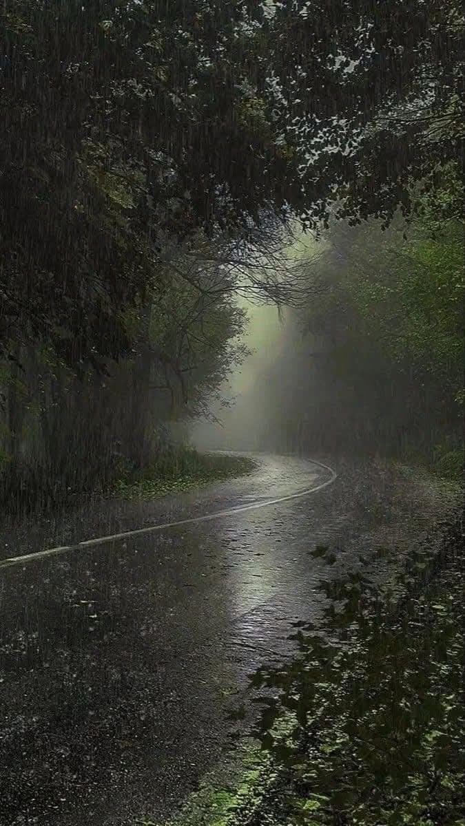 rainy day.