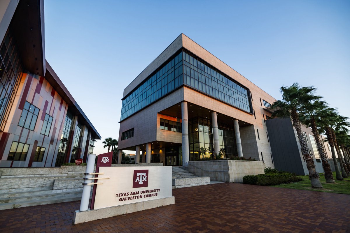Texas A&M Galveston 👍🌊 tweet media