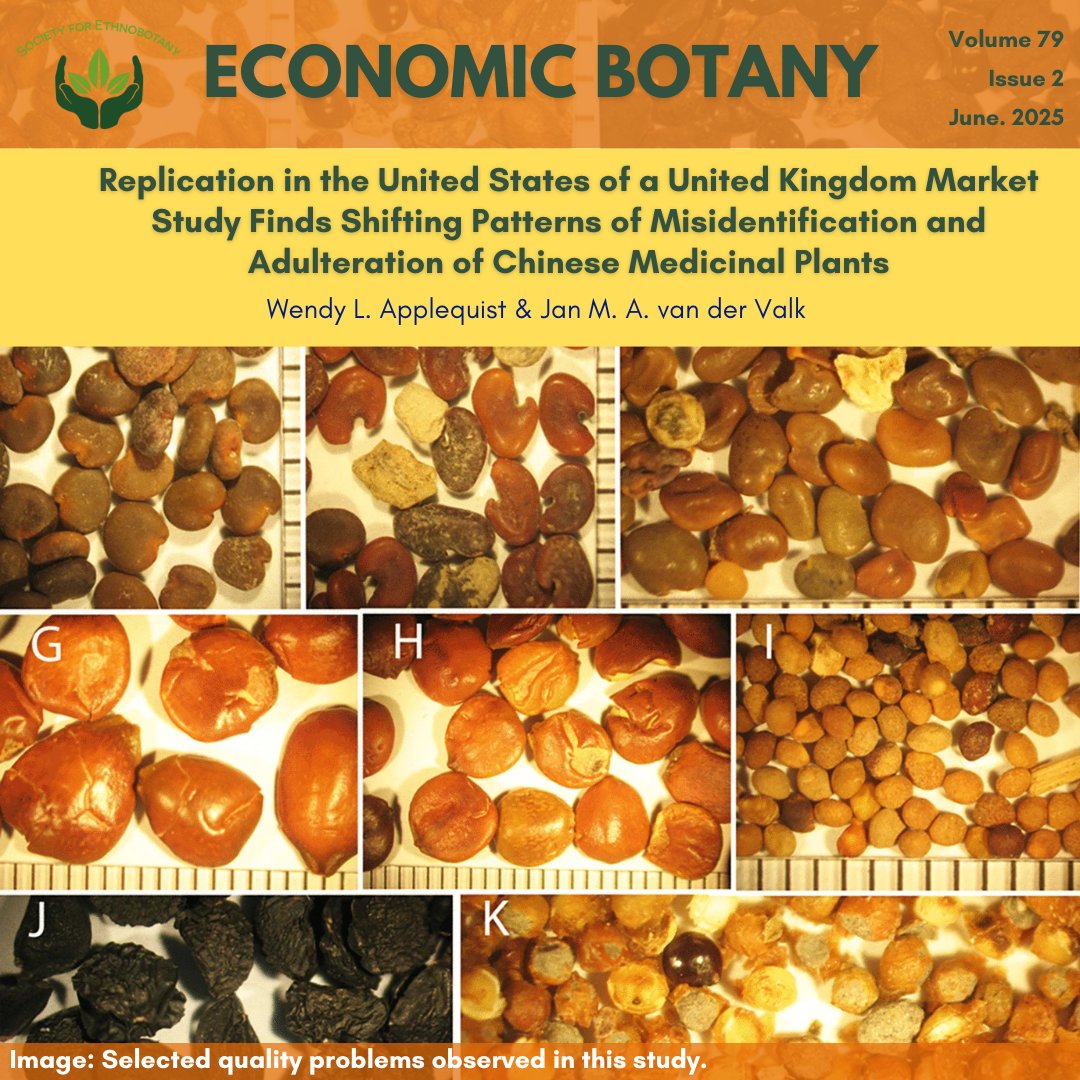 SEBotany's tweet photo. Don't miss this article "Replication in the United States of a United Kingdom Market Study Finds Shifting Patterns of Misidentification and Adulteration of Chinese Medicinal Plants" in the latest issue of Economic Botany!

Members can login to read at https://t.co/RFFh9iWXMl 🌿 https://t.co/g7h3N8AwEH