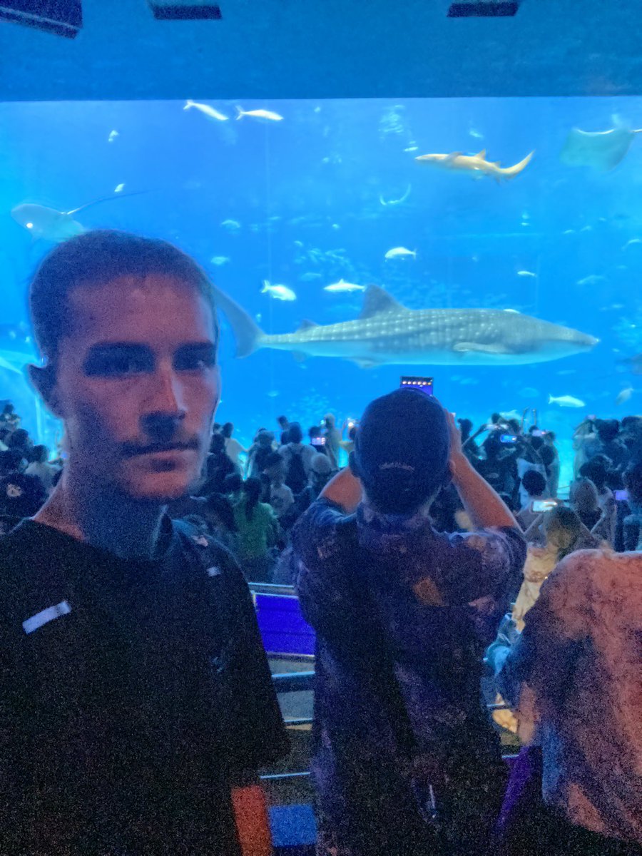 That's a pretty interesting fish