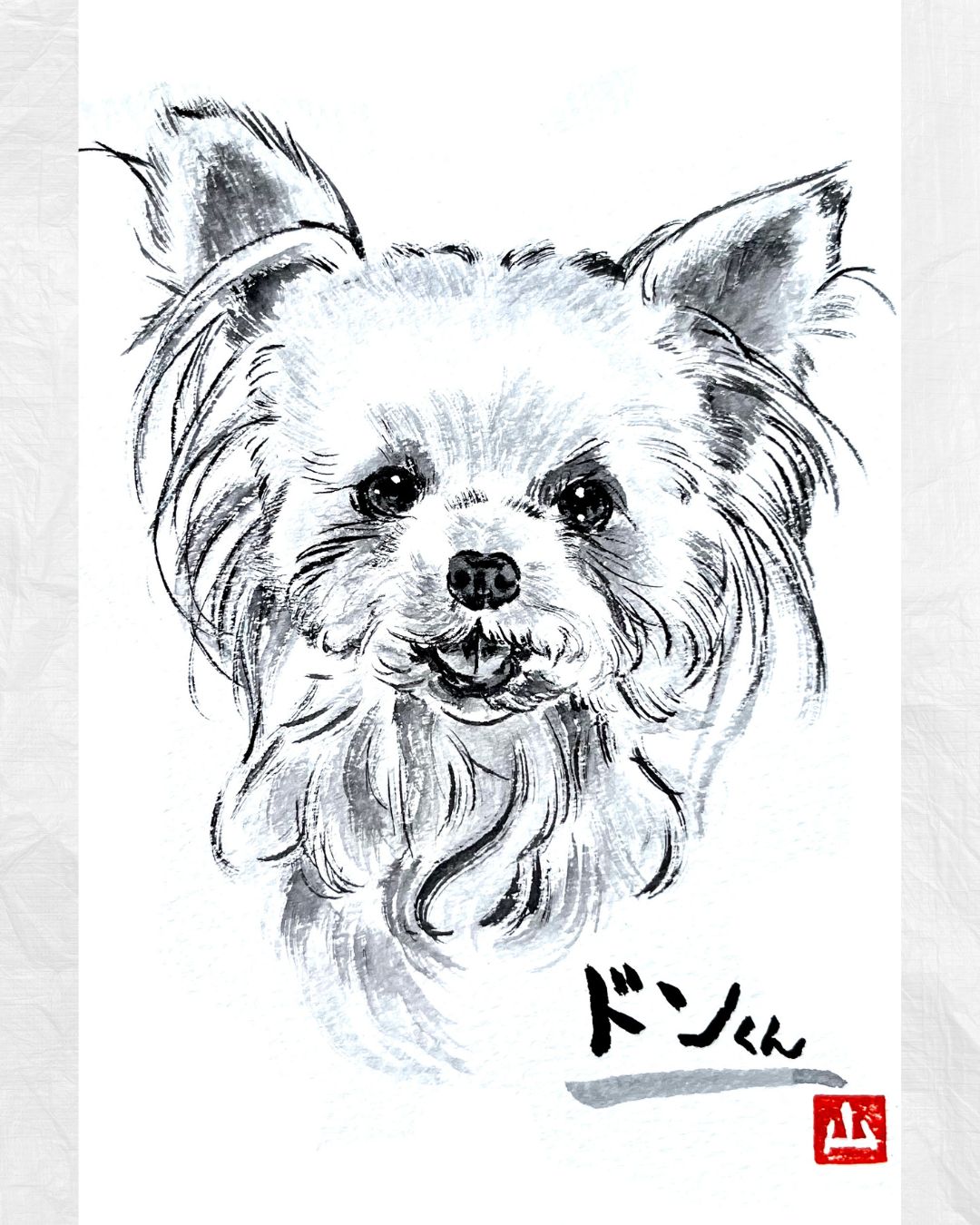 山谷悠地(ヤマヤ ユウチ) on X: 