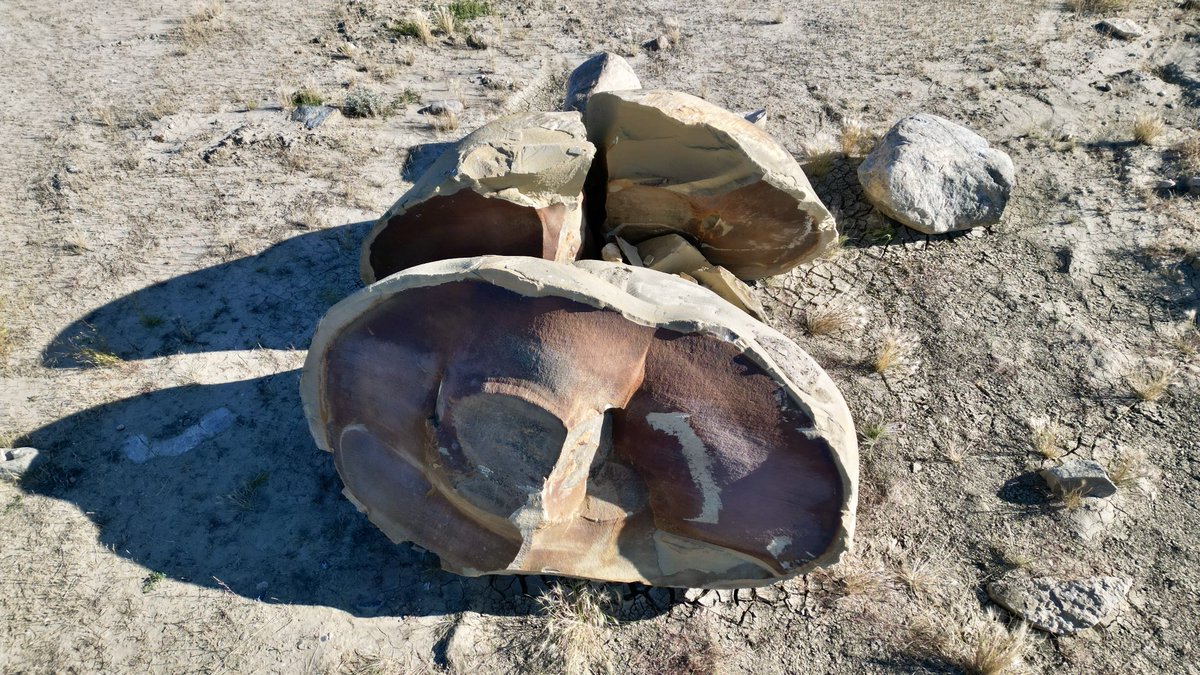 CTVGareth's tweet photo. Concretion…. this could be the largest concretion ever found on earth. The 50 ton rock was dug out of a bluff near Swift Current.
It may look like a dinosaur egg 🦖🥚… but it isn’t. #concretion #geology #yqr https://t.co/Z52uV0zJy5