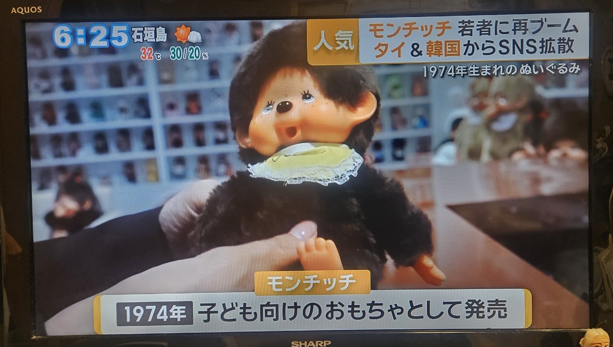 モンチッチ - Search / X