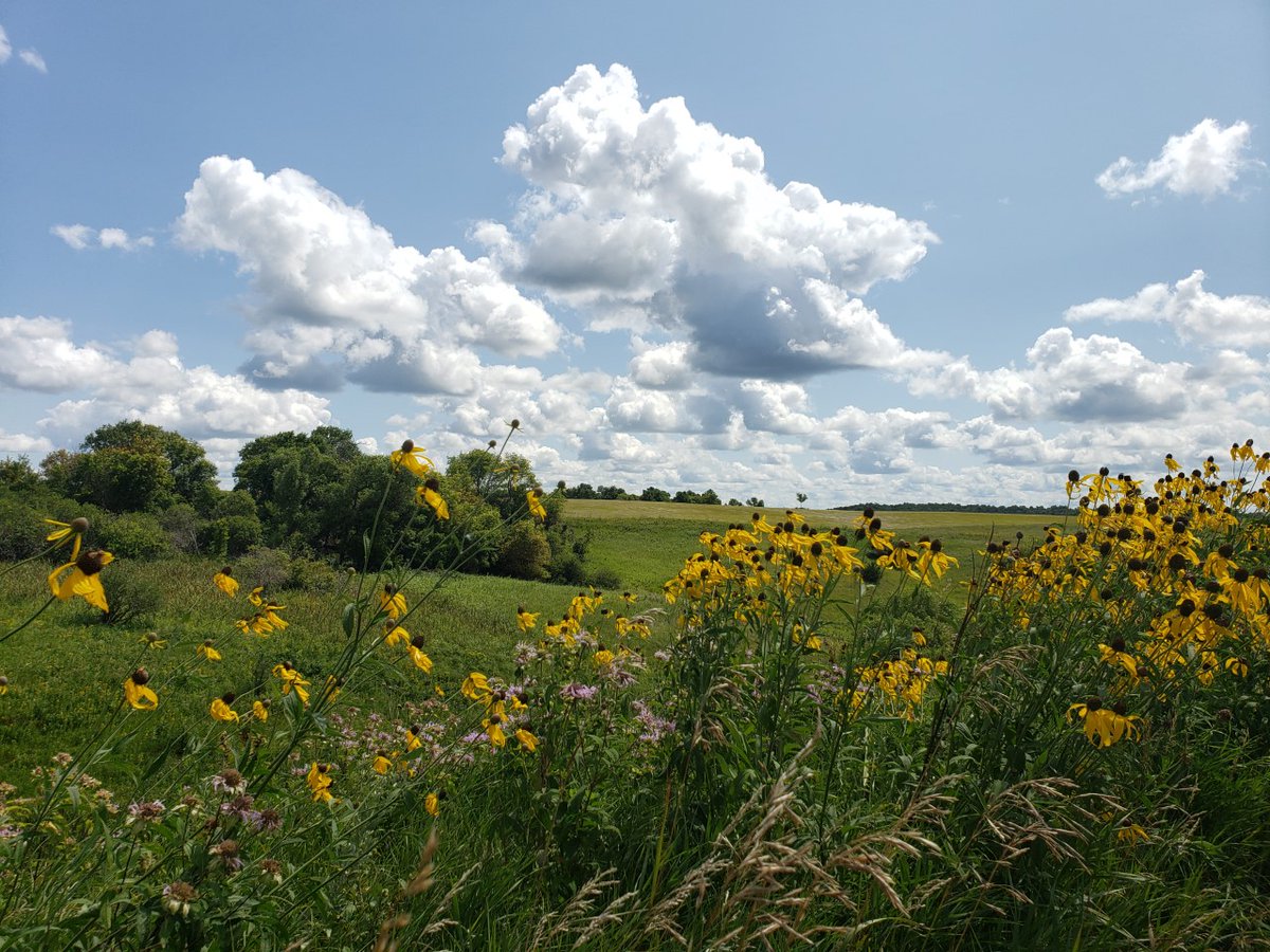 Want to be in-the-know about what goes on at CRH? Sign up for our newsletter! Stay on top of funding opportunities, upcoming events, publications, and much more, all in the world of rural health!

Subscribe at: ruralhealth.und.edu/updates