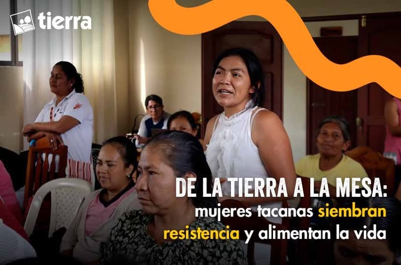 DE LA TIERRA A LA MESA: MUJERES TACANAS SIEMBRAN RESISTENCIA Y ALIMENTAN LA VIDA
En este Día Internacional de la #MujeresRurales queremos destacar la labor de las mujeres de la  (TCO) Tacana I.
Ver nota completa aquí ⬇️⬇️⬇️ ftierra.org/index.php/tema…